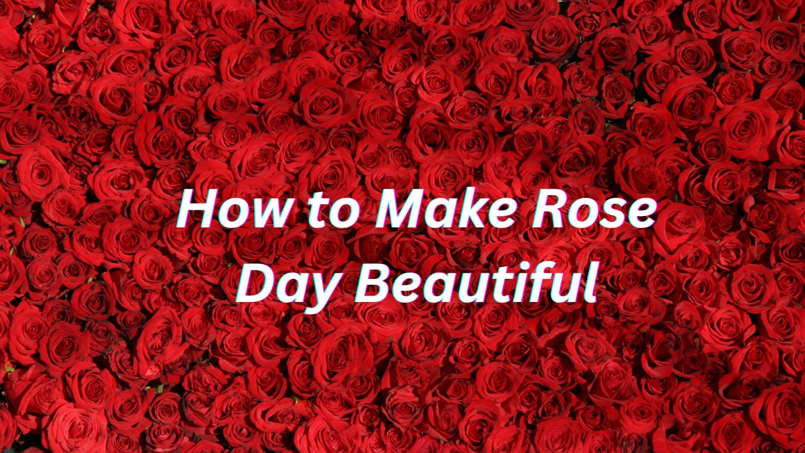 How to Make Rose Day 2026 Unforgettable: Romantic Ideas for an Extraordinary Celebration